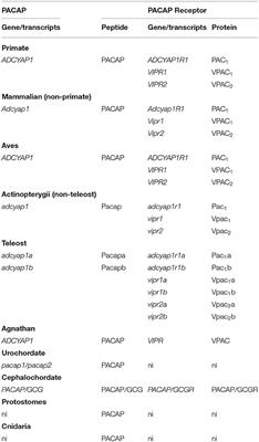 Corrigendum: Tracing the Origins of the Pituitary Adenylate-Cyclase Activating Polypeptide (PACAP)